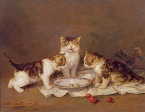 Tres gatos, cerezas rojas y abejas